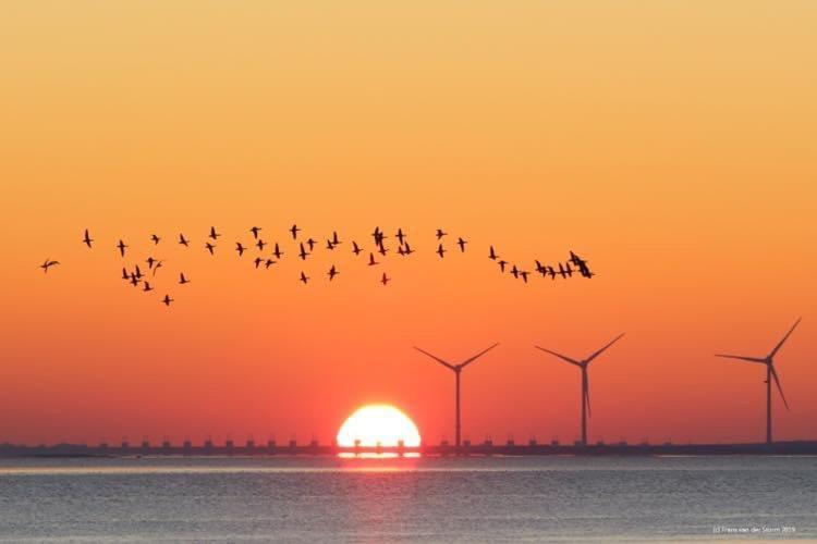 Heerenkeet 4 Pers Appartement Aan De Oosterschelde Kerkwerve ภายนอก รูปภาพ